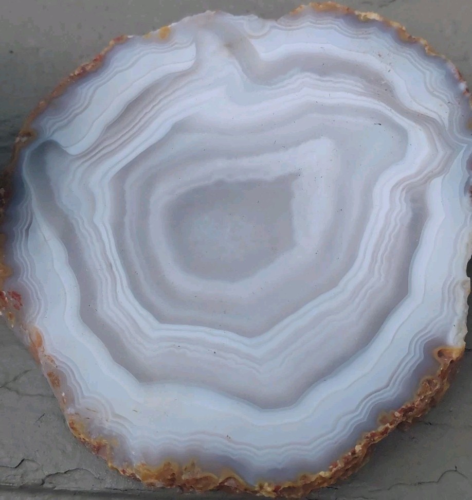 Condor Agate Nodule 2 Lb Specimen Bisected 2 Ends+Center Slab White Bands Depth