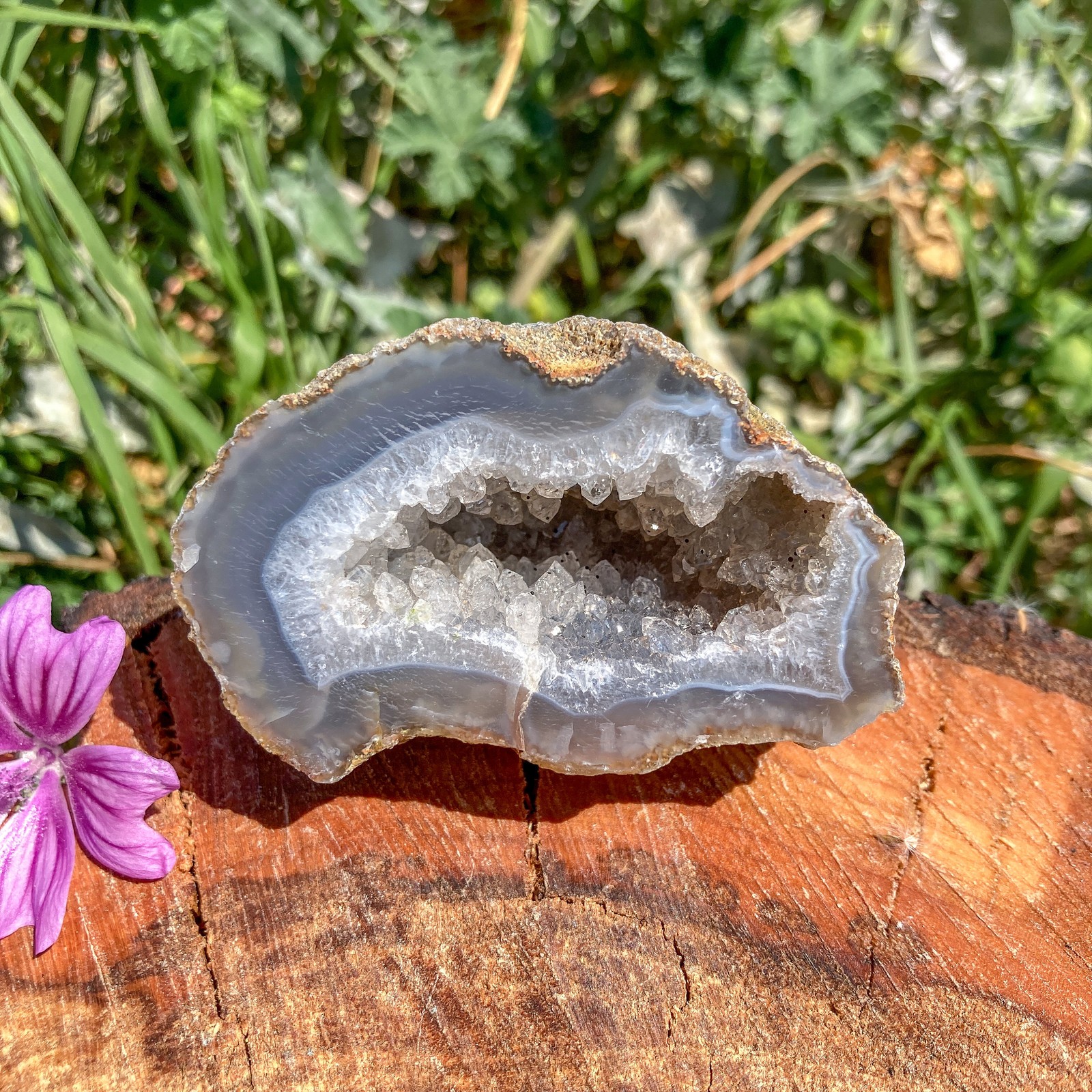 Natural Agate Geode Half / Grounding / Stability / Safety / Gift