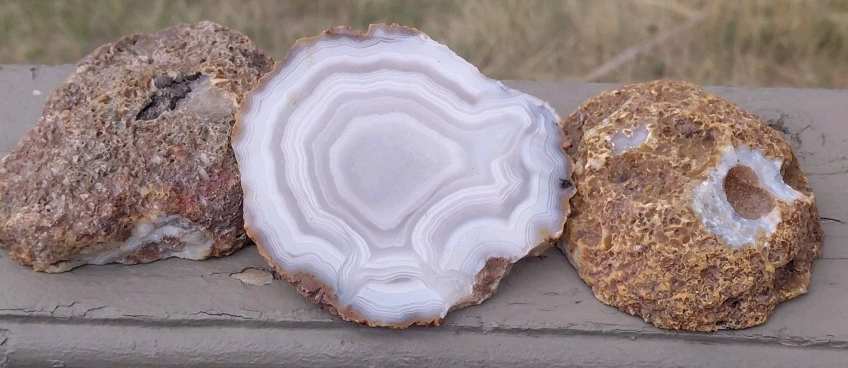 Condor Agate Nodule 2 Lb Specimen Bisected 2 Ends+Center Slab White Bands Depth