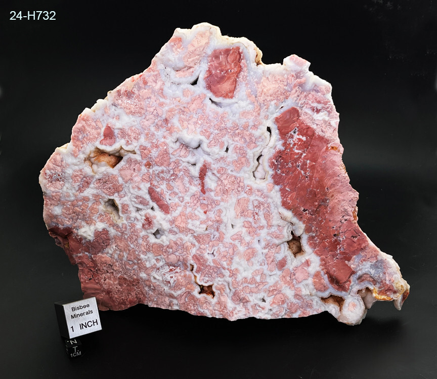 Cotton Candy Agate – Amazing 10″ Museum Grade Specimen – See Video – US Seller @