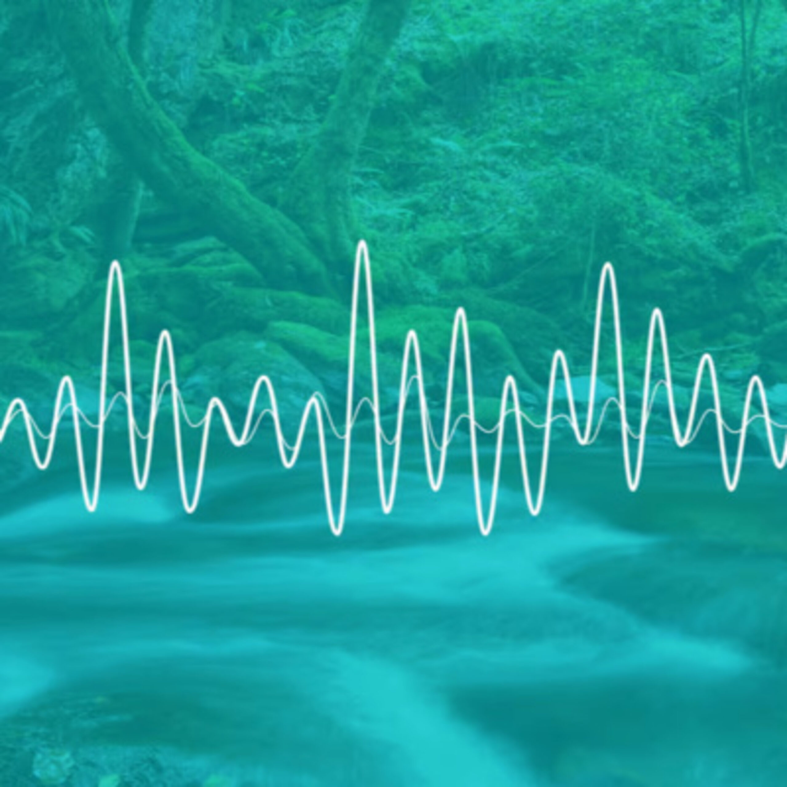 GG- Add’l 补充- Healing of the Sound 声音的疗愈 (中英文, English starts 2:19)