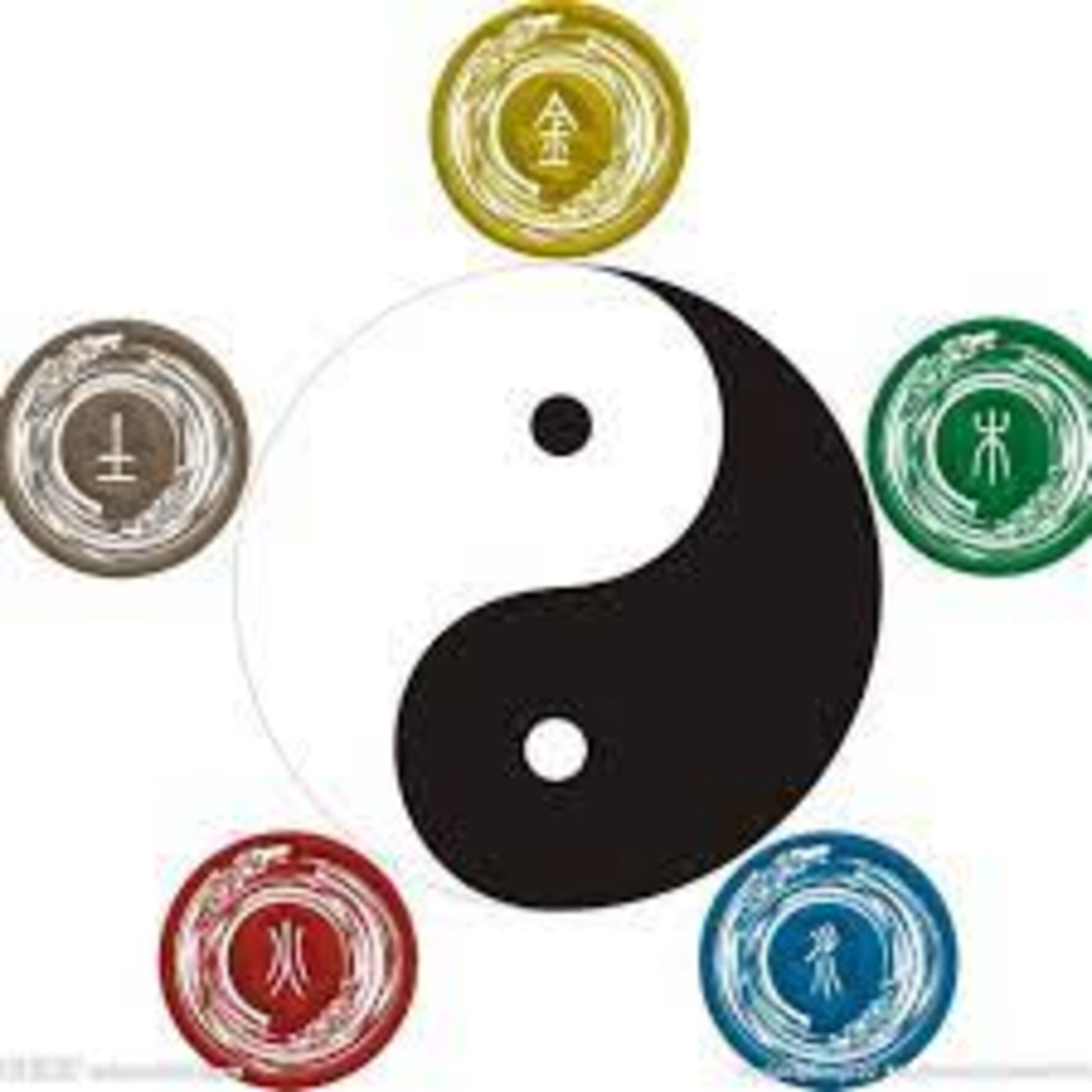 GG- Add’l 补充 – Understanding of Yin Yang and Five Elements 阴阳五行的感悟(中英文, English starts 2:00)