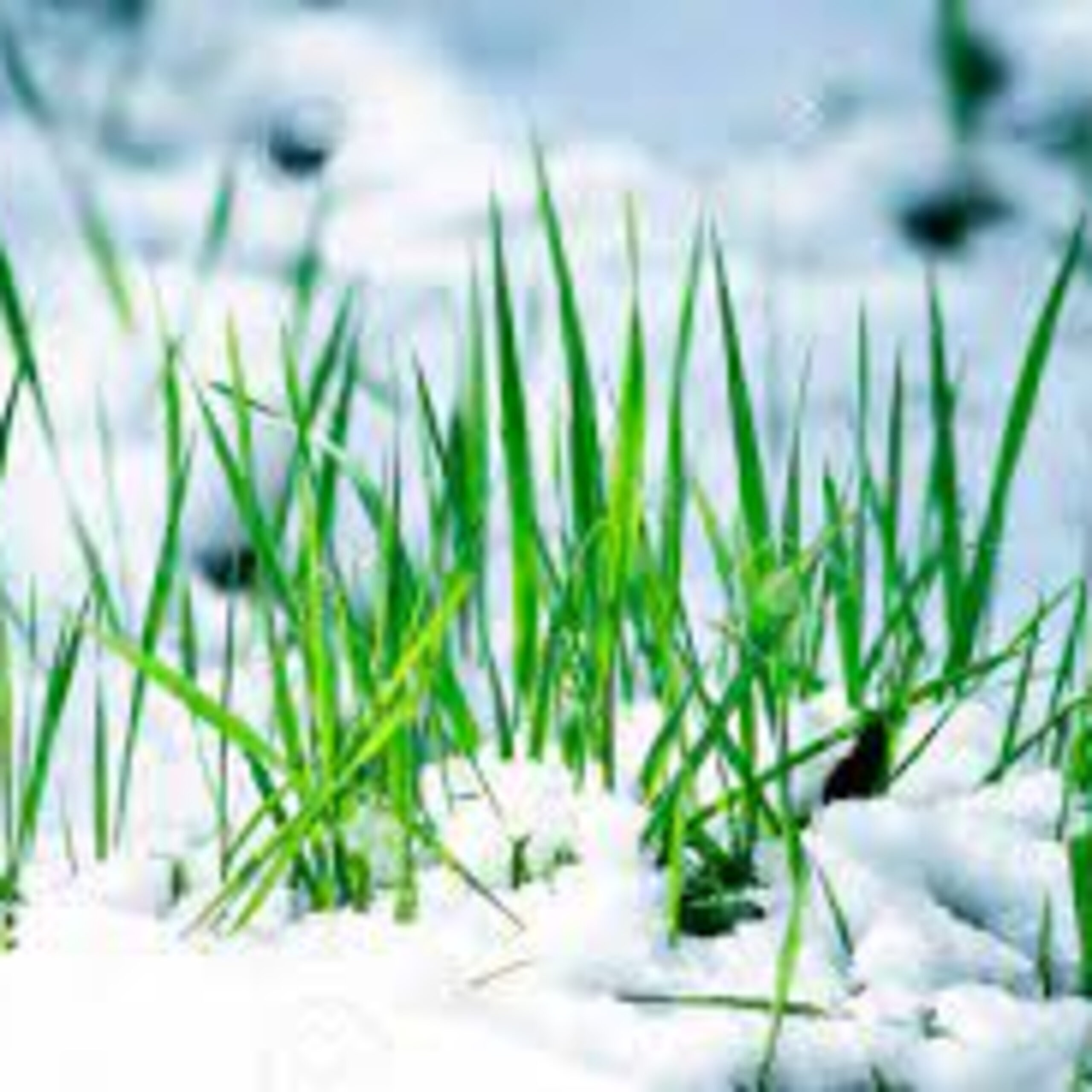 GG- Add’l 补充 -Replenishment of life force 生命之力的补充 (中英文, English starts 5:14)