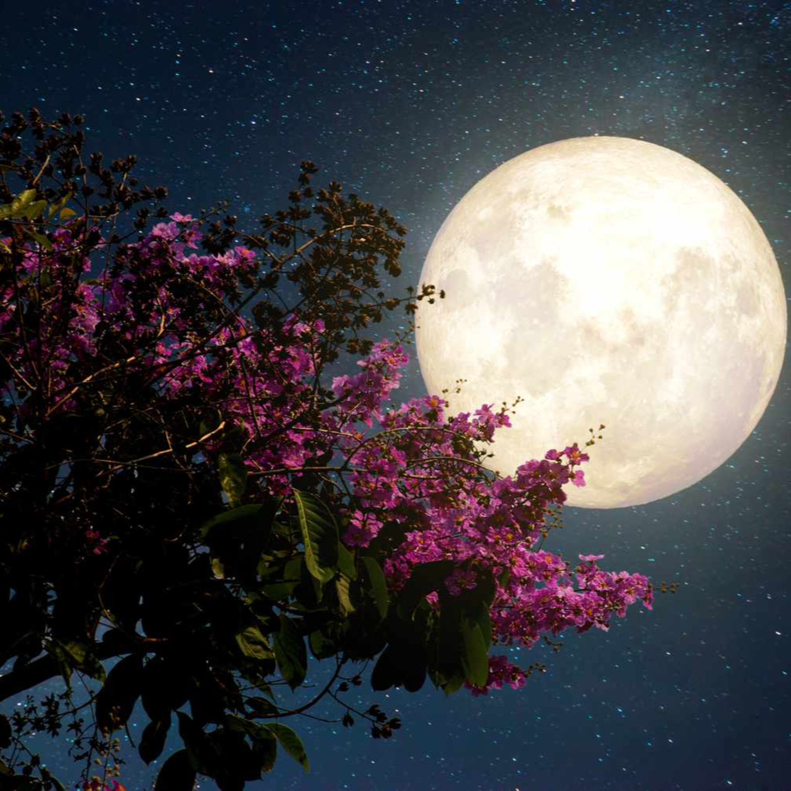 GG- Add’l 补充 -Healing of Yin Yang Balance with Moonlight 月光对阴阳平衡的疗愈 (中英文, English starts 6:06)